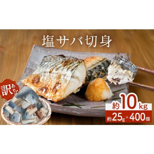 ふるさと納税 旬の鮮魚等 宮城県 石巻市 訳あり 塩サバ 切身 400個 冷凍 サバ 鯖 魚 真サバ 青魚 塩さば 切り身 規格外 ご家庭用 焼き魚 焼魚 おかず お弁当 …