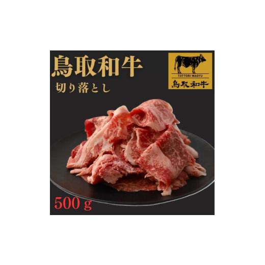 ふるさと納税 牛肉 鳥取県 米子市 鳥取和牛切り落とし 500g