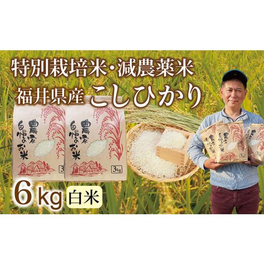 ふるさと納税 米 コシヒカリ 福井県 越前市 ＼新米先行予約/11月 減農薬米 こしひかり 6kg(3kg×2袋)/令和8年 福井県産 (白米) 人気品種 少量サイズ便利 …