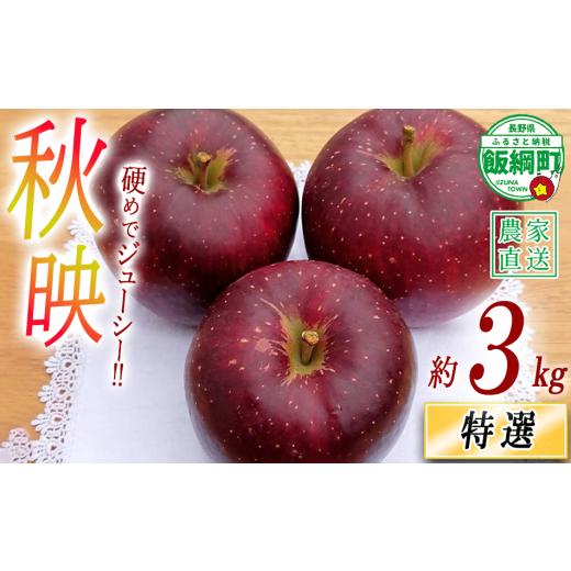 ふるさと納税 りんご 長野県 飯綱町 りんご 秋映 特選 3kg やまじゅうファーム 沖縄県への配送不可 2026年10月上旬頃から2026年10月中旬頃まで順次発送予定 令…