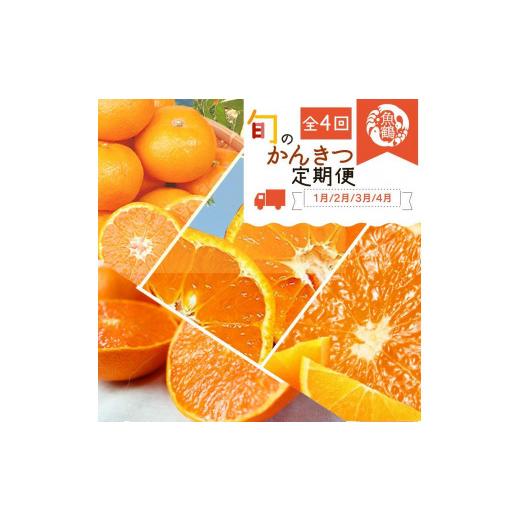 ふるさと納税 果物類 みかん 和歌山県 上富田町  定期便・指定月（1・2・3・4月）全4回 紀州和歌山産 旬の柑橘 セット (みかん・不知火・せとか・清見) ［UT13…_1