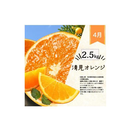 ふるさと納税 果物類 みかん 和歌山県 上富田町  定期便・指定月（1・2・3・4月）全4回 紀州和歌山産 旬の柑橘 セット (みかん・不知火・せとか・清見) ［UT13…_5