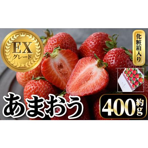 ふるさと納税 いちご 福岡県 春日市 先行予約受付中・数量限定 2026年2月からお届け プレミアムあまおうEX 化粧箱入り(約400g) 苺 いちご あまおう イチゴ フ…