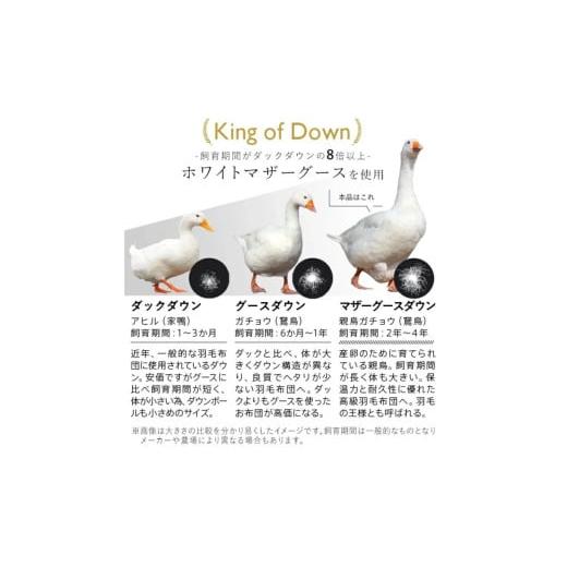 ふるさと納税 タオル・寝具 掛け布団 福岡県 久留米市 カバー付 オリジナル羽毛布団　ホワイトマザーグース93％　DP420　シングル（60超長綿／キシリアグレー…_3