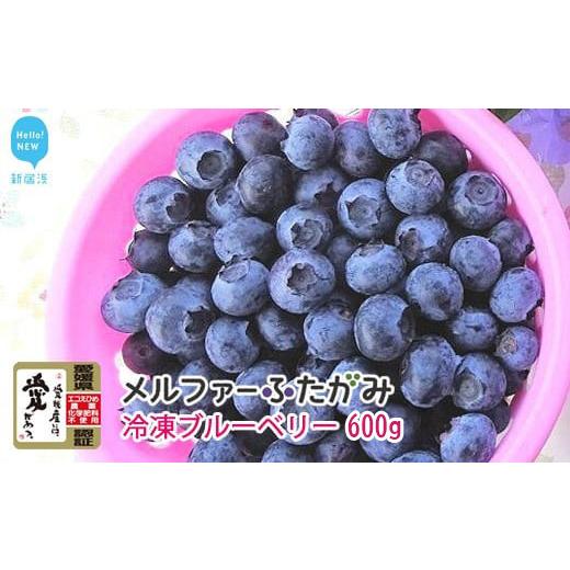 ふるさと納税 果物類 愛媛県 新居浜市 先行予約 完熟ブルーベリー600g(冷凍)毎年人気の冷凍ブルーベリーです メルファーふたがみ