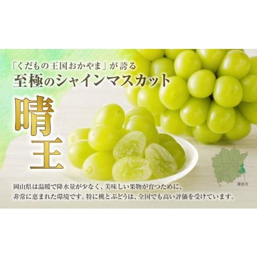 ふるさと納税 ぶどう マスカット 岡山県 備前市  2025年発送分 先行受付スタート 岡山県産シャインマスカット「晴王」 秀品 約1.5kg（2房）（令和７年8月中旬&hellip;