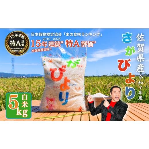 ふるさと納税 米 さがびより 佐賀県 佐賀市 新米 令和7年産 佐賀県産 さがびより 白米 5kg おこめ 米 :B170-023
