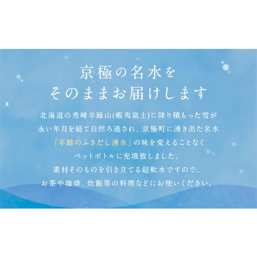 ふるさと納税 水・ミネラルウォーター 500mL〜999mL 北海道 京極町  3回定期便 羊蹄のふきだし湧水 「京極の名水」 500ml×24本 （1ケース） 軟水 水 みず ペ…の画像