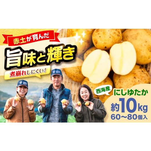 ふるさと納税 野菜類 じゃがいも 長崎県 西海市 勝田農園の満々じゃがいも にしゆたか 約10kg(M〜Lサイズ混合) 勝田農園 CGM002 じゃがいも ぽてと いも 芋 …