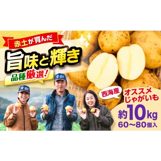 ふるさと納税 野菜類 じゃがいも 長崎県 西海市 先行予約 勝田