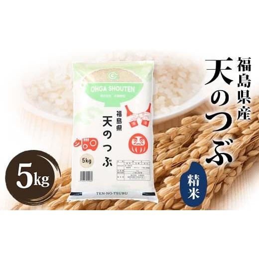 ふるさと納税 米 福島県 鏡石町 令和7年産米 鏡石町産天のつぶ精米5kg F6Q-405 5kg