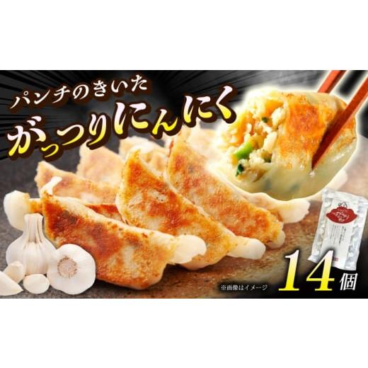 ふるさと納税 餃子 神奈川県 開成町 年内発送 夏のスタミナ がっつりにんにく餃子 14個(1パック) 餃子屋ヒロ 餃子 ぎょうざ ギョウザ ギョーザ 冷凍餃子 豚…