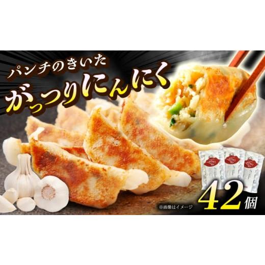 ふるさと納税 餃子 神奈川県 開成町 年内発送 (3パック)開成町の 餃子 がっつりにんにく 餃子 42個(14個入×3パック) 餃子屋ヒロ 餃子 ぎょうざ ギョウザ …