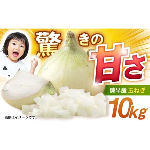 ふるさと納税 野菜類 玉ねぎ 長崎県 諫早市 諫早産 新玉ねぎ 10kg ／ 新玉ねぎ 玉ねぎ 玉葱 たまねぎ タマネギ 野菜 やさい 10kg 甘い ／ 諫早市 ／ 松尾農園 …の画像