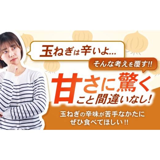 ふるさと納税 野菜類 玉ねぎ 長崎県 諫早市 諫早産 新玉ねぎ 10kg ／ 新玉ねぎ 玉ねぎ 玉葱 たまねぎ タマネギ 野菜 やさい 10kg 甘い ／ 諫早市 ／ 松尾農園 …の画像