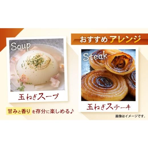 ふるさと納税 野菜類 玉ねぎ 長崎県 諫早市 諫早産 新玉ねぎ 10kg ／ 新玉ねぎ 玉ねぎ 玉葱 たまねぎ タマネギ 野菜 やさい 10kg 甘い ／ 諫早市 ／ 松尾農園 …の画像