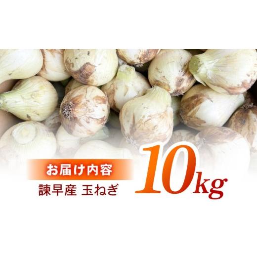 ふるさと納税 野菜類 玉ねぎ 長崎県 諫早市 諫早産 新玉ねぎ 10kg ／ 新玉ねぎ 玉ねぎ 玉葱 たまねぎ タマネギ 野菜 やさい 10kg 甘い ／ 諫早市 ／ 松尾農園 …の画像