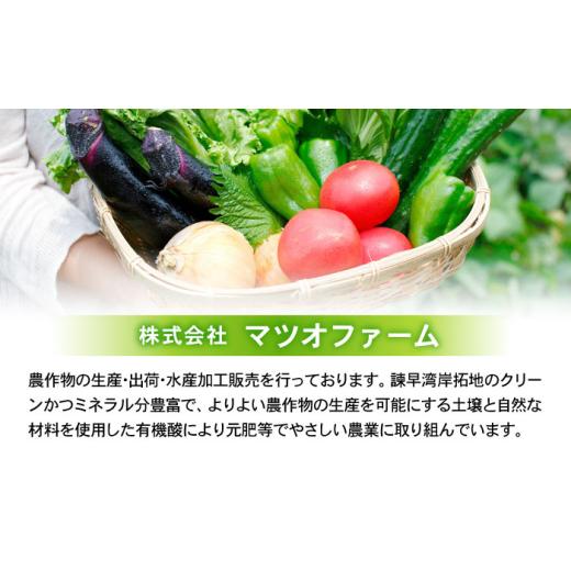 ふるさと納税 野菜類 玉ねぎ 長崎県 諫早市 諫早産 新玉ねぎ 10kg ／ 新玉ねぎ 玉ねぎ 玉葱 たまねぎ タマネギ 野菜 やさい 10kg 甘い ／ 諫早市 ／ 松尾農園 …の画像