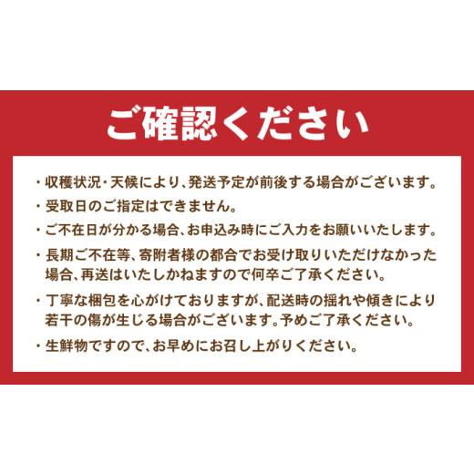 ふるさと納税 野菜類 玉ねぎ 長崎県 諫早市 諫早産 新玉ねぎ 10kg ／ 新玉ねぎ 玉ねぎ 玉葱 たまねぎ タマネギ 野菜 やさい 10kg 甘い ／ 諫早市 ／ 松尾農園 …の画像