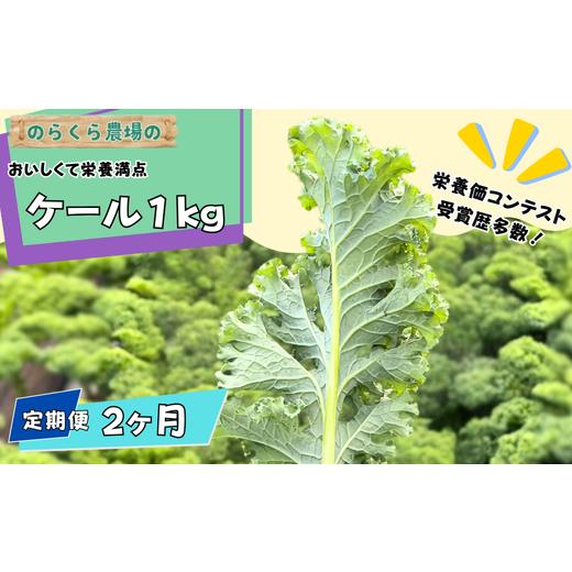 ふるさと納税 野菜類 長野県 佐久穂町 先行受付 定期便 2カ月 のらくら農場 ケール1kg NK-T522 定期便2ヶ月