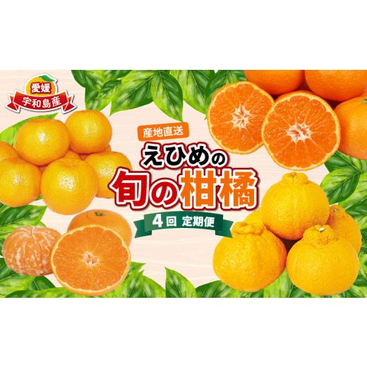 ふるさと納税 みかん・柑橘類 愛媛県 宇和島市 愛媛みかん えひめの旬の柑橘 産地直送 4回 定期便 えひめ南農業協同組合直販センター JA 早生温州 南柑20号 ポ…