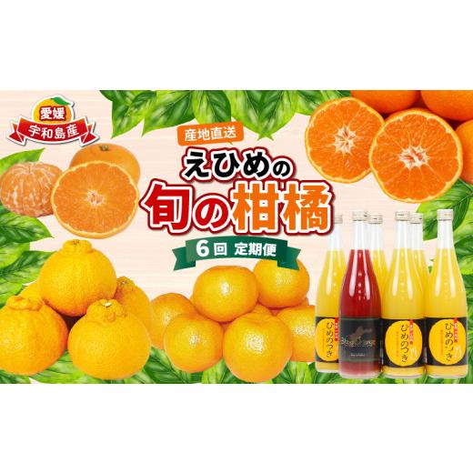 ふるさと納税 みかん・柑橘類 愛媛県 宇和島市 愛媛みかん えひめの旬の柑橘 産地直送 6回 定期便 えひめ南農業協同組合直販センター JA 早生温州 南柑20号 ポ…