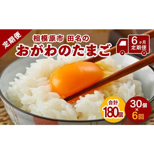 ふるさと納税 卵(鶏、烏骨鶏等) 神奈川県 相模原市 6ヶ月定期便 毎月前半発送 相模原市田名のおがわのたまご ピンク卵 Mサイズ 30個(27個+割れ補償3個)×…