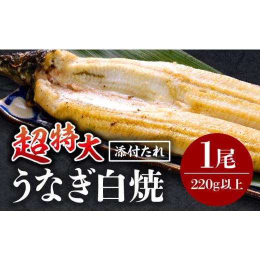 ふるさと納税 うなぎ 宮崎県 宮崎市 [2026年5月発送予定]うなぎ白焼(超特大サイズ) 1尾_M069-025-may 5月発送予定