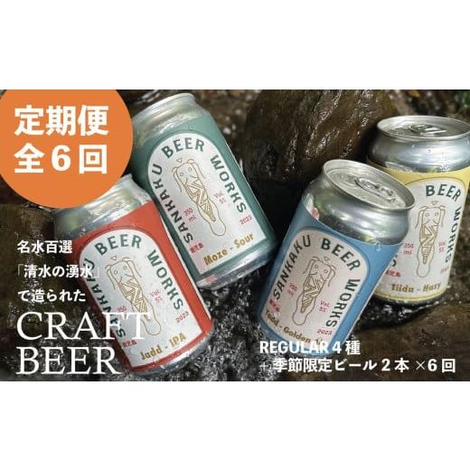 ふるさと納税 ビール 鹿児島県 南九州市 全6回 Sankaku Beer Works クラフトビール定期便 127-04