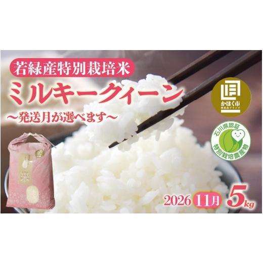ふるさと納税 米 ミルキークイーン 石川県 かほく市 先行予約 発送月が選べる 若緑産 特別栽培米「ミルキークィーン」 2026年11月発送 2026年11月