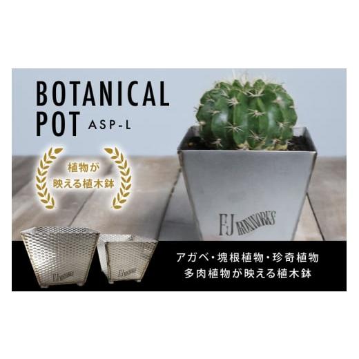 ふるさと納税 花・苗木 宮城県 気仙沼市 植木鉢 BOTANICAL POT ASP-L 1