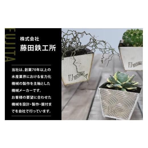 ふるさと納税 花・苗木 宮城県 気仙沼市 植木鉢 BOTANICAL POT ASP-L 1
