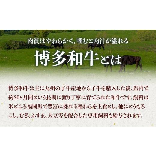 ふるさと納税 牛肉 焼肉・バーベキュー 福岡県 大川市 博多和牛A4ランク以上焼肉用タレ漬550g　　　 |  | 04