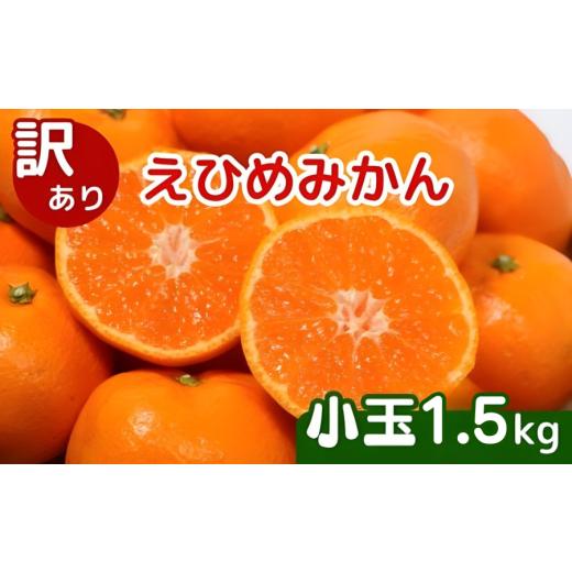 ふるさと納税 みかん・柑橘類 愛媛県 愛南町 先行受付 訳あり 愛媛みかん 小玉 1.5kg 傷み補償 250g 増量 発送期間 2025年11月上旬以降 みかん 愛媛みかん 温…