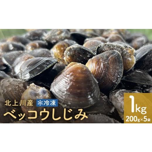 ふるさと納税 魚貝類 しじみ 宮城県 石巻市 北上川産 冷凍 ベッコウしじみ 1kg ( 200g × 5袋 ) しじみ 海鮮 魚介類 貝 貝類 吸い物 砂抜き不要 味噌汁 蜆 国…