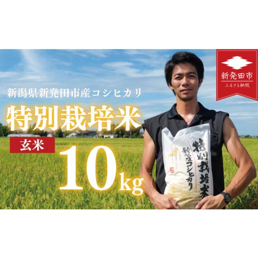 ふるさと納税 米 コシヒカリ 新潟県 新発田市 新米 コシヒカリ 玄米 10kg 令和7年産 特別栽培米 こしひかり 米 お米 こめ 新潟米 新潟県産 新潟産 新潟 新潟…