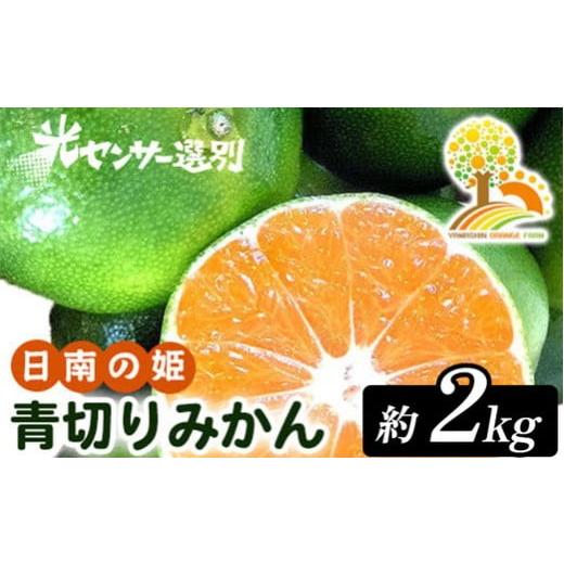 ふるさと納税 果物類 みかん 和歌山県 美浜町 先行予約 こだわりの青切りみかん 約2kg 農家直送 有機質肥料 100% サイズ混合 | みかん 柑橘 果物 くだもの …