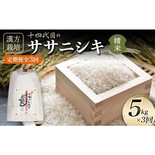 ふるさと納税 米 ササニシキ 山形県 新庄市 令和7年産 定期便 全3回 漢方栽培 十四代目のササニシキ（精米） 5kg 米 お米 おこめ 山形県 新庄市 F3S-2406の画像