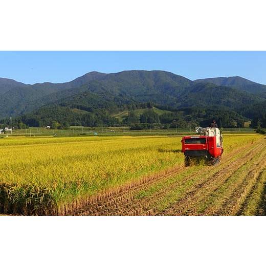 ふるさと納税 米 ササニシキ 山形県 新庄市 令和7年産 定期便 全3回 漢方栽培 十四代目のササニシキ（精米） 5kg 米 お米 おこめ 山形県 新庄市 F3S-2406の画像
