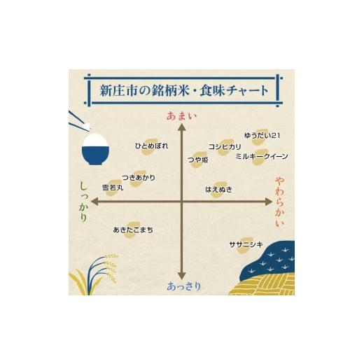 ふるさと納税 米 ササニシキ 山形県 新庄市 令和7年産 定期便 全3回 漢方栽培 十四代目のササニシキ（精米） 5kg 米 お米 おこめ 山形県 新庄市 F3S-2406の画像