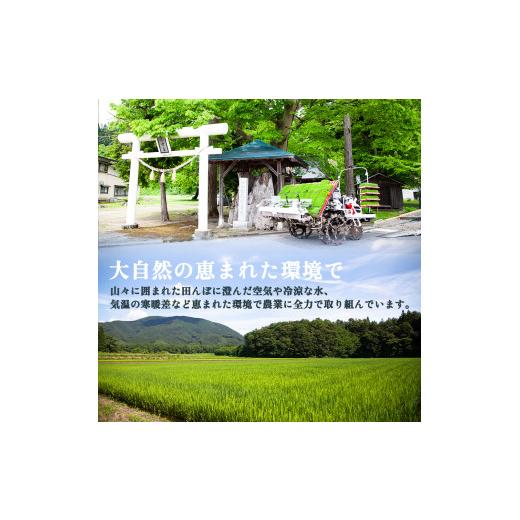 ふるさと納税 米 秋田県 鹿角市 《 先行予約 》 令和8年産 淡雪こまち 白米 5kg 定期便 6ヶ月 合計 30kg トライズ ●2026年11月発送開始 米 精米 白米 単一原…_4