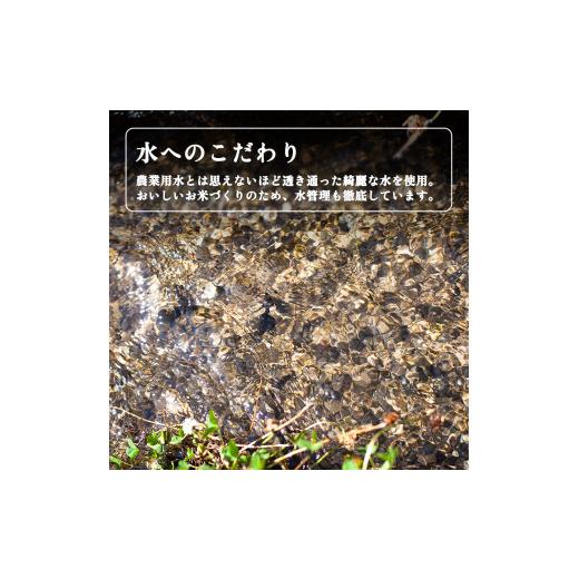 ふるさと納税 米 秋田県 鹿角市 《 先行予約 》 令和8年産 淡雪こまち 白米 5kg 定期便 6ヶ月 合計 30kg トライズ ●2026年11月発送開始 米 精米 白米 単一原…_5