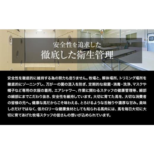 ふるさと納税 馬肉 熊本県 苓北町  6ヶ月定期便 馬刺し 赤身 馬刺し 1.5kg 純 国産 熊本 肥育 たっぷり タレ付き 生食用 冷凍《お申込み月の翌月から出荷開始…の画像