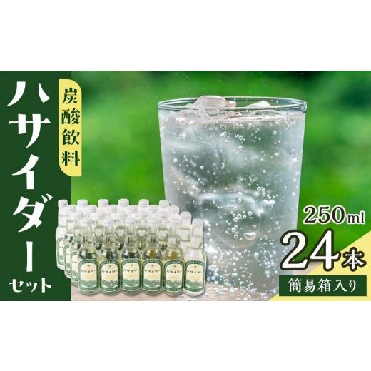 ふるさと納税 炭酸飲料 サイダー 長野県 大町市 炭酸飲料 サイダー セット 24本 × 250ml ハサイダー｜黒部ダム 破砕帯 飲料 炭酸飲料 サイダー 人気 おすすめ…_1