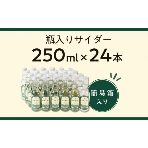 ふるさと納税 炭酸飲料 サイダー 長野県 大町市 炭酸飲料 サイダー セット 24本 × 250ml ハサイダー｜黒部ダム 破砕帯 飲料 炭酸飲料 サイダー 人気 おすすめ…_3