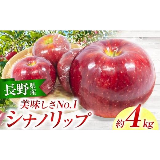 ふるさと納税 りんご 長野県 伊那市 りんご シナノリップ 信州産の夏りんご 美味しさNO.1 さわやかな酸味 シナノリップ 約4kg | 果物 フルーツ 林檎 りんご シ…