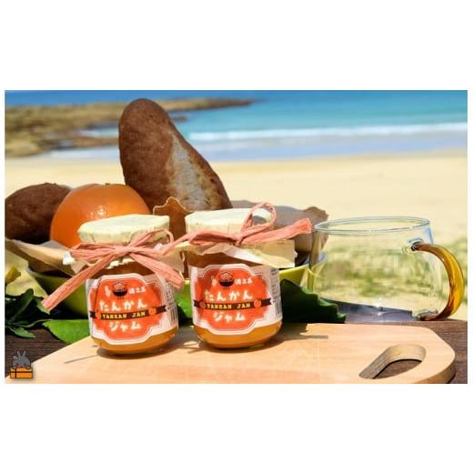 徳之島産　完熟たんかん　農薬不使用　自然栽培 徳之島産 完熟たんかん 農薬不使用 自然栽培 徳之島産 完熟たんかん