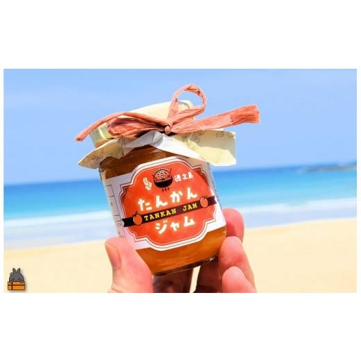 徳之島産　完熟たんかん　農薬不使用　自然栽培 徳之島産 完熟たんかん 農薬不使用 自然栽培 徳之島産 完熟たんかん