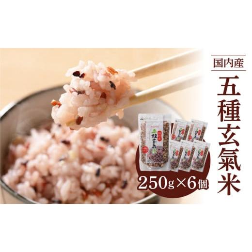 ふるさと納税 玄米 福岡県 久留米市 国内産 五種玄氣米 250g×6個 計1500g_Gr010 1回お届け