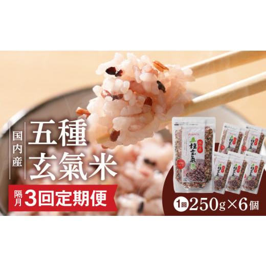 ふるさと納税 玄米 福岡県 久留米市 隔月3回 定期便 国内産 五種玄氣米 250g×6個 1500g×3回_Tk025 隔月3回定期便